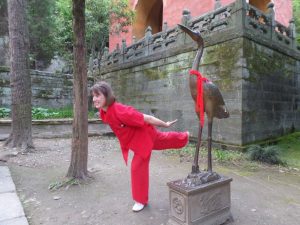 Koerperforschung, Qi Gong, Bewegung, Schmerz